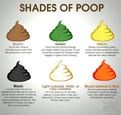 What It Means When Poop Is Fluffy, Hard, Colored, .